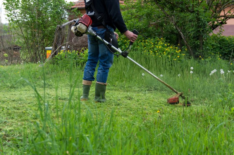 Overgrown Yard Trimming