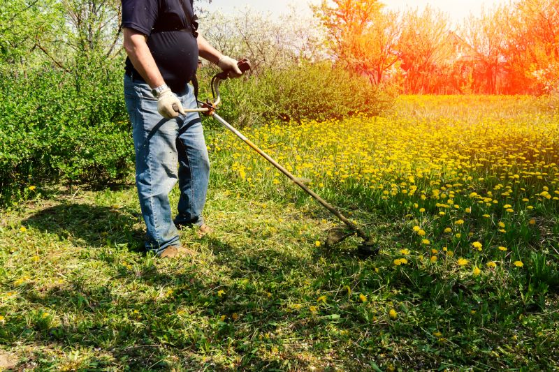 Overgrown Yard Trimming