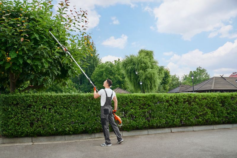 Products For Overgrown Yard Trimmings in use