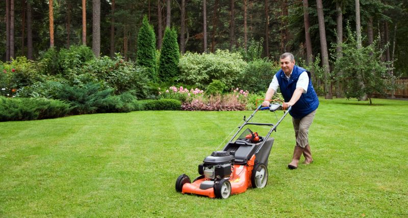 Spring Lawn Care in Bowie, MD
